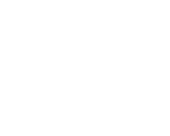 IDNZ Bespoke Journeys
